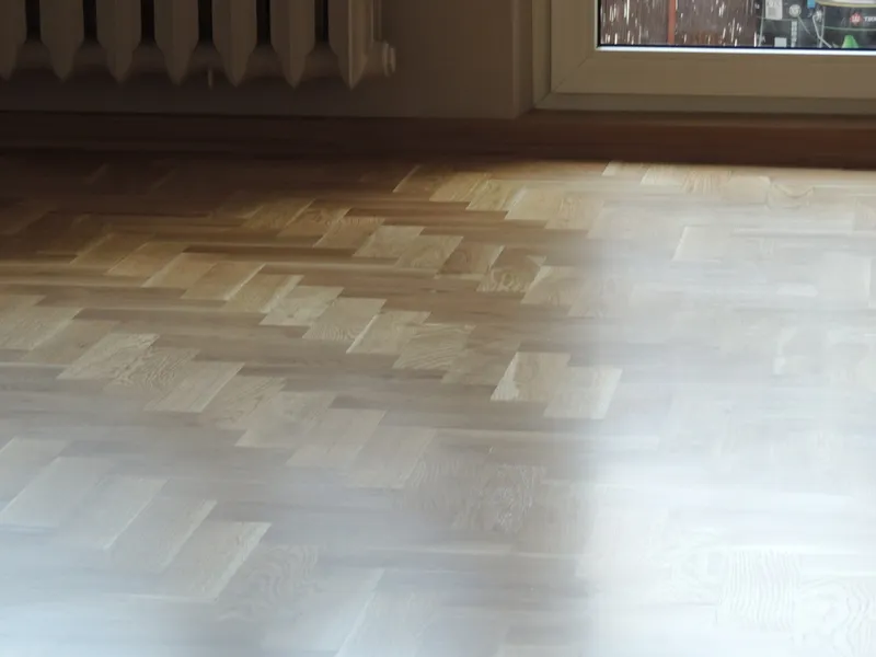 Parkiet jodelka - zdjęcie 3