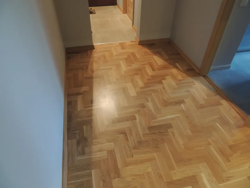 Parkiet jodelka - zdjęcie 5