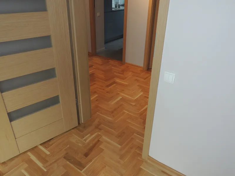 Parkiet jodelka - zdjęcie 18